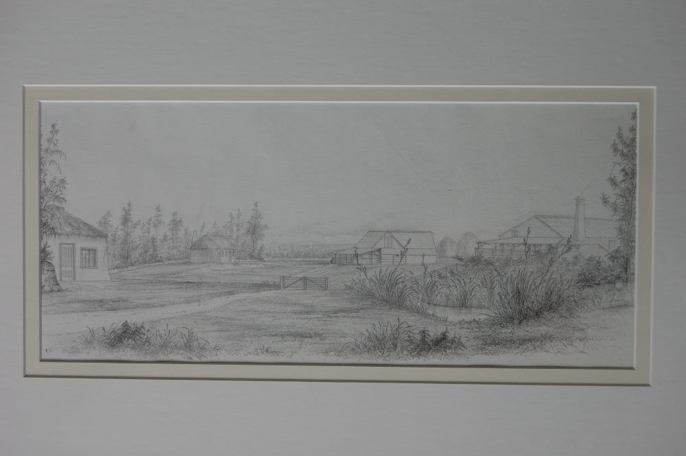 Art Conservation & Restoration - Graphite Drawing AFTER